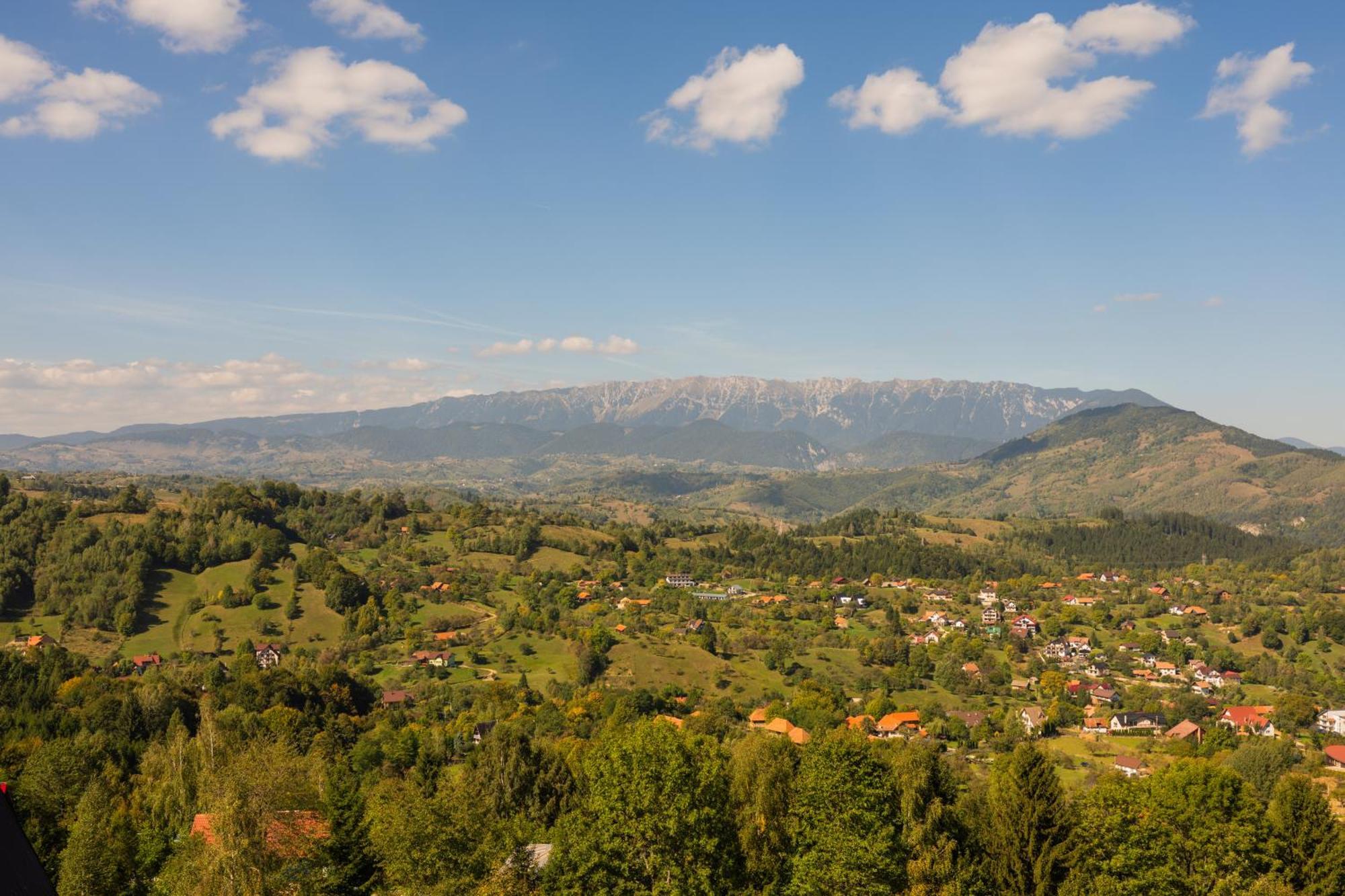 The Pines Bucegi Lodge Bran  Exterior foto